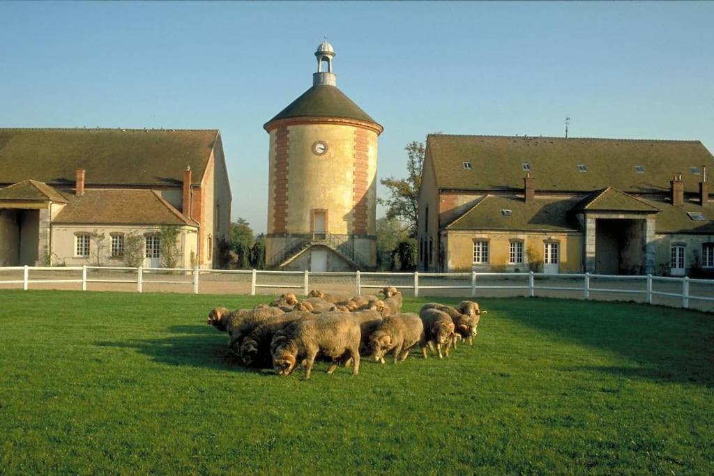 Gite De L'Alisier - Rambouillet - 外观 照片